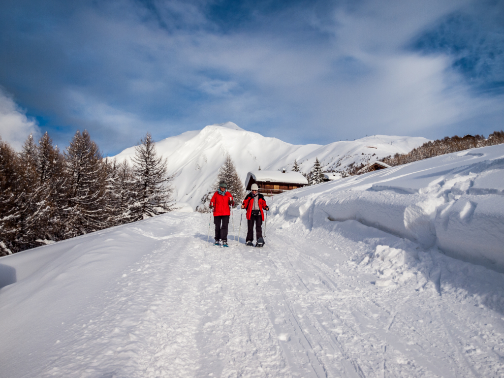 Winterwandern und Schneeschuhlaufen auf Rosswald