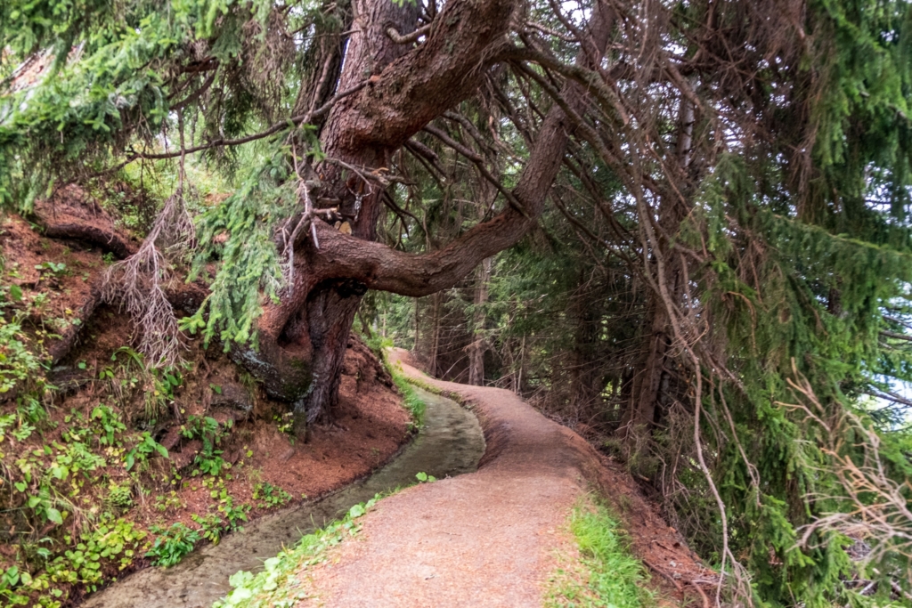 Rundweg Bergwasser