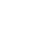 brig-simplon-logo